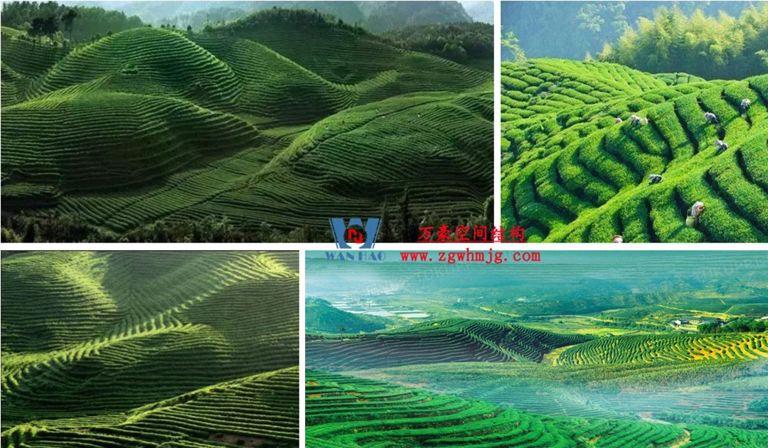 博多森谷項(xiàng)目中庭etfe膜結(jié)構(gòu)工程 博多森谷項(xiàng)目中庭etfe膜結(jié)構(gòu)工程